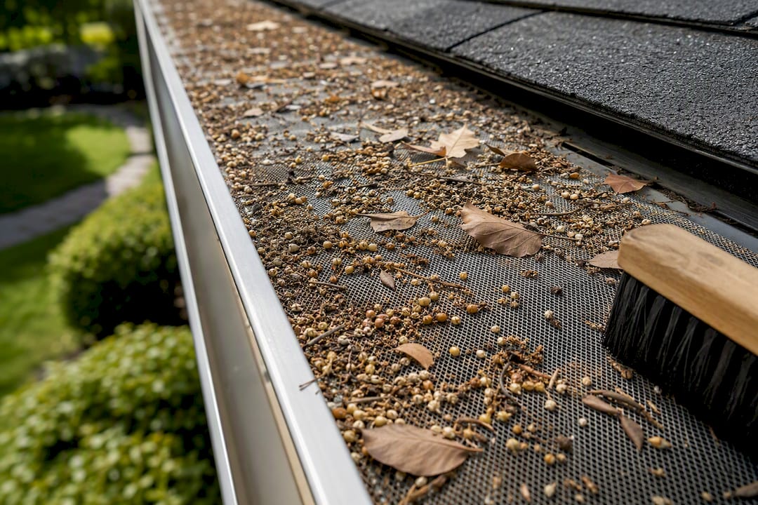 Leaves and grit resting on gutter guard mesh