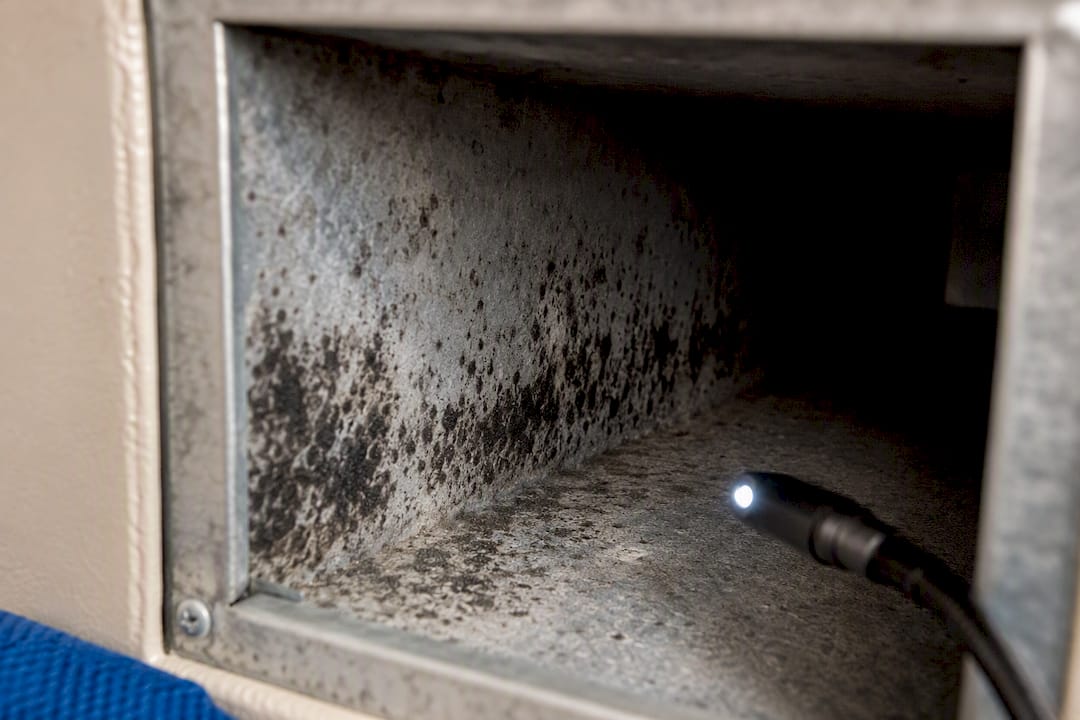 Mould growth visible inside an air duct